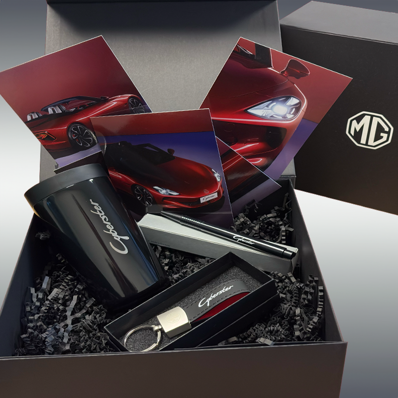 Cyberster_Starterpaket_Gesamtpacket2